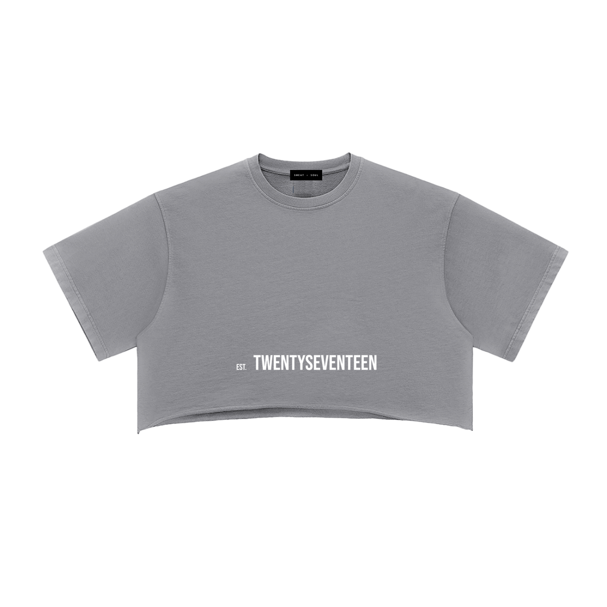 Snow Washed Raw Edge Crop Top