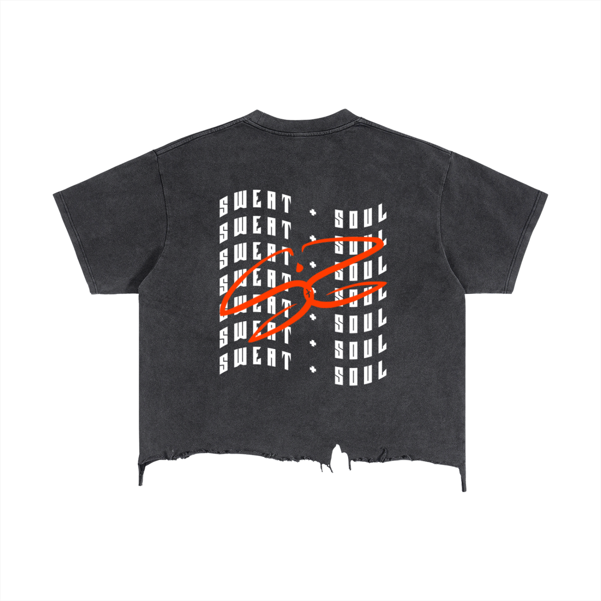 Vintage Wash Boxy Distressed Hem T-Shirt
